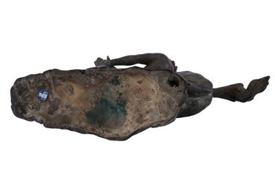 Foto Gruppo in bronzo argentato IGB-001375_20251217_019.jpg