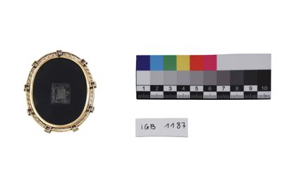 Foto cammeo IGB-001187_20250613_003.JPG