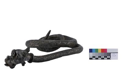 Foto Serpente in argento con testa canina IGB-001327_20251217_002.jpg