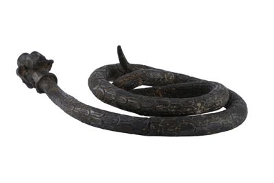 Foto Serpente in argento con testa canina IGB-001327_20251217_003.jpg