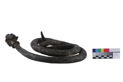 Foto Serpente in argento con testa canina IGB-001327_20251217_004.jpg