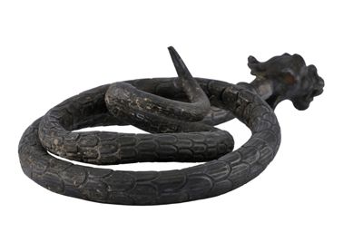 Foto Serpente in argento con testa canina IGB-001327_20251217_005.jpg