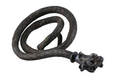 Foto Serpente in argento con testa canina IGB-001327_20251217_007.jpg