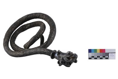 Foto Serpente in argento con testa canina IGB-001327_20251217_008.jpg