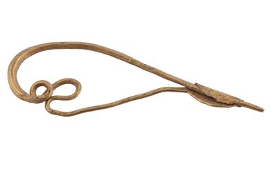 Foto Fibula in oro IGB-005297_20260610_003.JPG