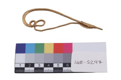 Foto Fibula in oro IGB-005297_20260610_004.JPG