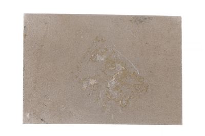 Foto Barra in palladio IGB-005678_20250910_003.jpg