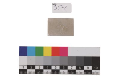 Foto Barra in palladio IGB-005678_20250910_004.jpg