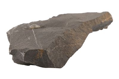 Foto Roccia con diamante grezzo IGB-005715_20250910_003.jpg