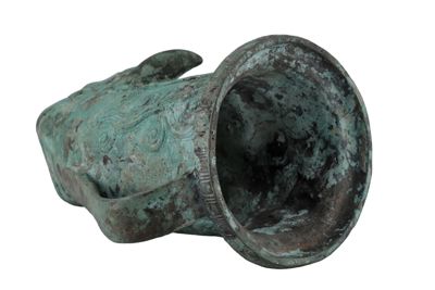 Foto rython IGB-010655_20251217_007.jpg