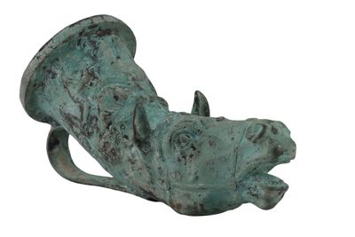 Foto rython IGB-010655_20251217_009.jpg