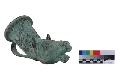 Foto rython IGB-010655_20251217_010.jpg