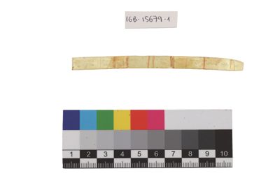 Foto Esempio di smaltatura sull'argento, tonalità di verde IGB-015679-01_20250910_004.jpg