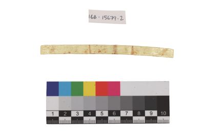 Foto Esempio di smaltatura sull'argento, tonalità di verde IGB-015679-02_20250910_004.jpg