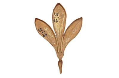 Foto Esempio di smaltatura sull'argento, tonalità di verde IGB-015679-04_20250910_003.jpg