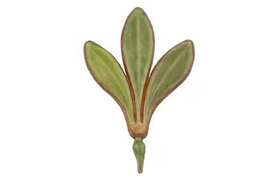 Foto Esempio di smaltatura sull'argento, tonalità di verde IGB-015679-05_20250910_003.jpg