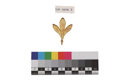 Foto Esempio di smaltatura sull'argento, tonalità di verde IGB-015679-07_20250910_004.jpg