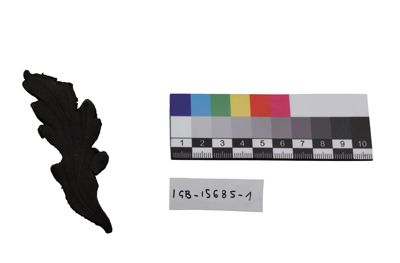 Foto ornamento per vasi IGB-015685-1_20250613_002.JPG