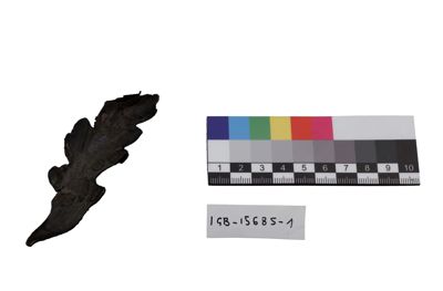 Foto ornamento per vasi IGB-015685-1_20250613_003.JPG