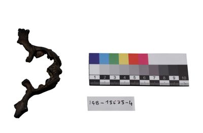 Foto ornamento per vasi IGB-015685-4_20250613_003.JPG