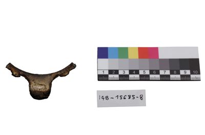 Foto ornamento per vasi IGB-015685-8_20250613_003.JPG