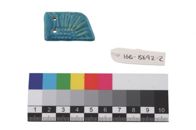 Foto Ala di scarabeo in ceramica smaltata IGB-015692-2_20250912_002.jpg