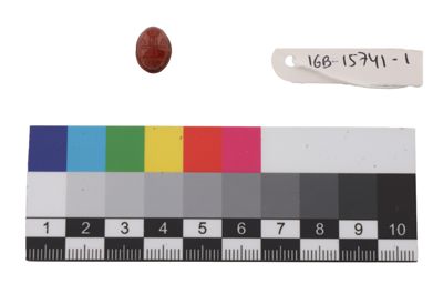 Foto Scarabeo in corniola naturale IGB-015741-1_20250912_002.jpg