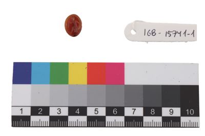 Foto Scarabeo in corniola naturale IGB-015741-1_20250912_004.jpg