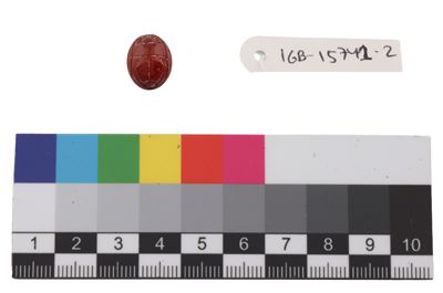 Foto Scarabeo in corniola naturale IGB-015741-2_20250912_002.jpg