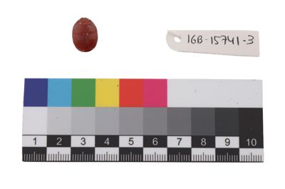 Foto Scarabeo in corniola naturale IGB-015741-3_20250912_002.jpg