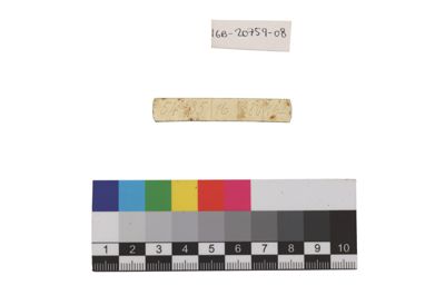 Foto Esempio di smaltatura sull'argento IGB-020759-08_20250910_004.jpg