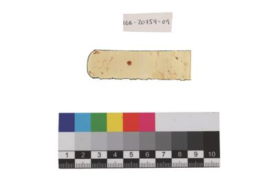 Foto Esempio di smaltatura sull'argento IGB-020759-09_20250910_004.jpg