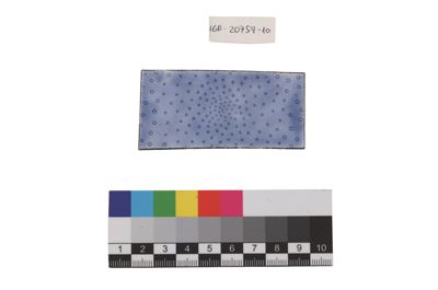 Foto Esempio di smaltatura sull'argento IGB-020759-10_20250910_002.jpg