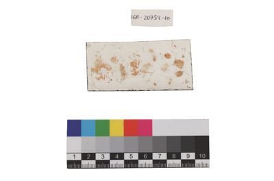 Foto Esempio di smaltatura sull'argento IGB-020759-10_20250910_004.jpg