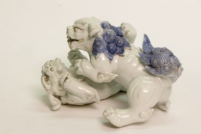 Foto Coppia di cani di Fo che giocano IGB-001429_20180802_002.jpg