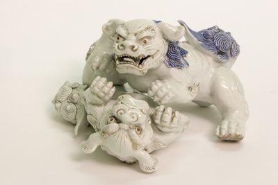 Foto Coppia di cani di Fo che giocano IGB-001429_20180802_003.jpg