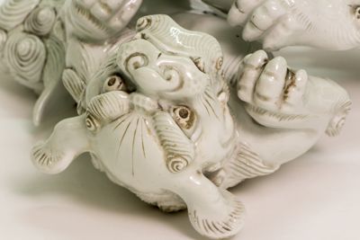 Foto Coppia di cani di Fo che giocano IGB-001429_20180802_004.jpg