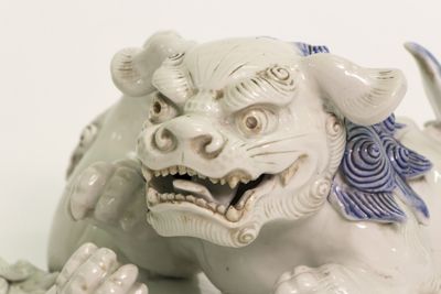 Foto Coppia di cani di Fo che giocano IGB-001429_20180802_005.jpg