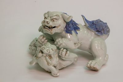 Foto Coppia di cani di Fo che giocano IGB-001429_20180802_001.jpg