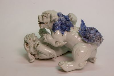 Foto Coppia di cani di Fo che giocano IGB-001429_20180802_002.jpg