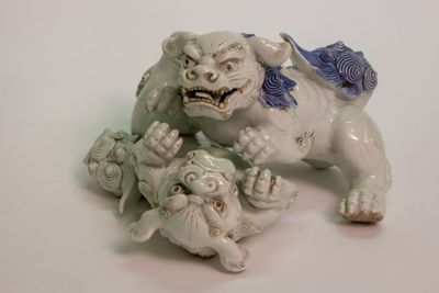 Foto Coppia di cani di Fo che giocano IGB-001429_20180802_003.jpg