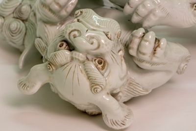 Foto Coppia di cani di Fo che giocano IGB-001429_20180802_004.jpg