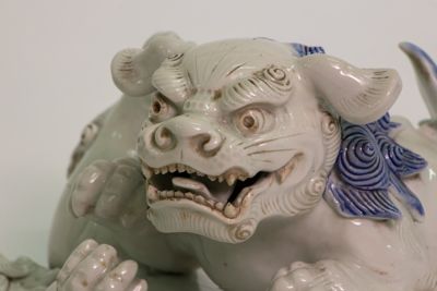 Foto Coppia di cani di Fo che giocano IGB-001429_20180802_005.jpg