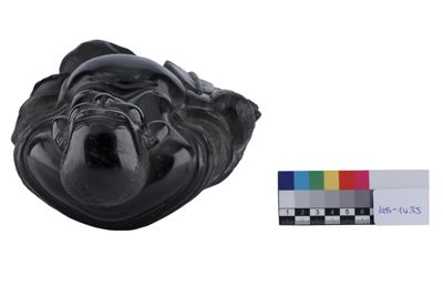 Foto scultura IGB-001435_20251217_016.jpg