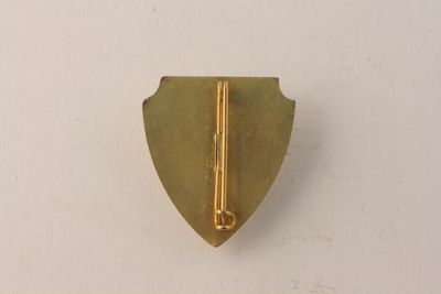 Foto Distintivi "Club Alpino Italiano - Sez. di Milano - Socio Benemerito" IGB-014719_20091028_002.jpg