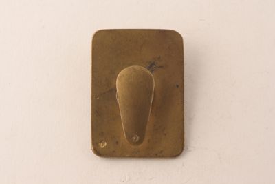 Foto Distintivo "Oesterr. Fussball Verband" IGB-014753_20091029_002.jpg