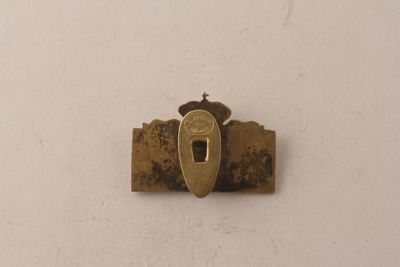 Foto Distintivo con simbolo delle Olimpiadi IGB-014780_20091029_002.jpg