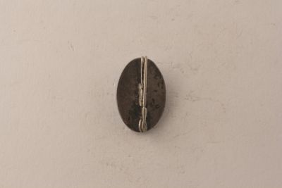 Foto Distintivo "Pavia F.B.C." IGB-014790_20091029_002.jpg