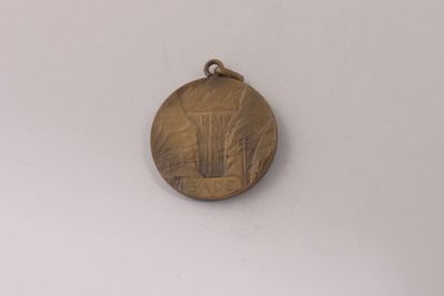 Foto Medaglia "Società Idroelettrica di elettricità - 1930" IGB-014317_20091007_002.jpg