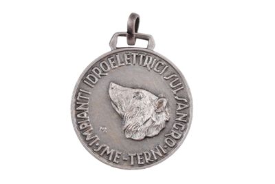 medaglia IGB-14325